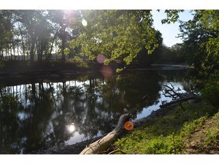 Property photo 2 - 64 Acre Farm Offered in 4 Tracts or in Combinations - Real Estate Auction
